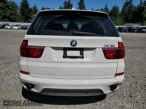 2012 BMW X5 35i with VIN 5UXZV4C5XCL987618, listed as a Copart auction lot 60308965 with 98,195 mi miles and Salvage title. Bid and sale history available at DreamBid. Image 6.