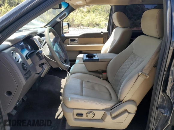 2009 Ford F-150 XL with VIN 1FTRW12889FB46414, listed as a Copart auction lot 57689325 with 197,779 mi miles and Salvage title. Bid and sale history available at DreamBid. Image 7.