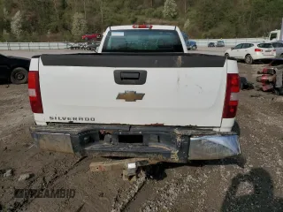 2009 Chevrolet Silverado 1500 Work Truck with VIN 1GCEC14X19Z225725, listed as a Copart auction lot 51499965 with Not Provided miles and Salvage Title. Bid and sale history available at DreamBid. Image 6.