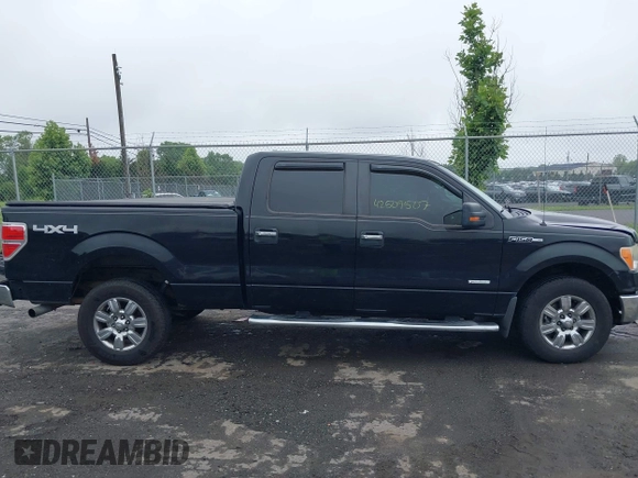2011 Ford F-150 XLT with VIN 1FTFW1ETXBFB94649, listed as a IAAI auction lot 42509507 with 185,997 mi miles and . Bid and sale history available at DreamBid. Image 13.