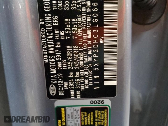 2020 Kia Telluride LX with VIN 5XYP2DHC3LG066376, listed as a Copart auction lot 50934875 with 112,714 mi miles and Salvage Title. Bid and sale history available at DreamBid. Image 14.