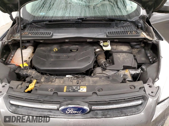 2014 Ford Escape SE with VIN 1FMCU9G97EUB81099, listed as a Copart auction lot 49592485 with 76,699 mi miles and Salvage Title. Bid and sale history available at carsss.com. Image 12.