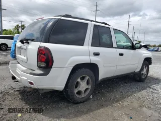 2007 Chevrolet TrailBlazer LS with VIN 1GNDS13S972249403, listed as a Copart auction lot 52070115 with 195,419 mi miles and Salvage Title. Bid and sale history available at DreamBid. Image 3.