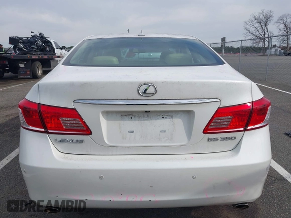 2010 Lexus ES 330 with VIN JTHBK1EGXA2374750, listed as a IAAI auction lot 41854716 with 193,513 mi miles and . Bid and sale history available at DreamBid. Image 16.