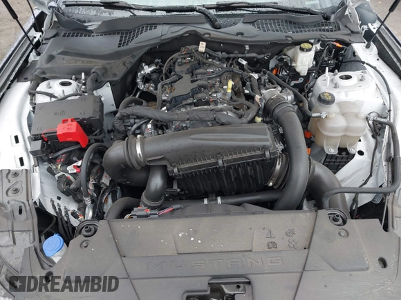 2024 Ford Mustang EcoBoost z VIN 1FA6P8TH4R5118287, wystawiony jako IAAI lot #41879332 z przebiegiem 18 301 mil mil oraz . Historia ofert i sprzedaży dostępna na DreamBid. Obrazek 10.