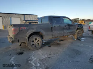 2013 Ford F-150 XL with VIN 1FTFW1EF1DFA62859, listed as a Copart auction lot 42224625 with 135,664 mi miles and Salvage Title. Bid and sale history available at carsss.com. Image 3.