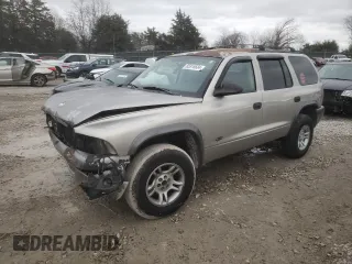 2002 Dodge Durango Sport with VIN 1B4HS38N22F104582, listed as a Copart auction lot 85916684 with 143,238 mi miles and Salvage Title. Bid and sale history available at carsss.com. Image 1.