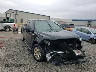 2016 Ford F-150 XL with VIN 1FTEX1CP5GFC96317, listed as a Copart auction lot 43956955 with 229,618 mi miles and Salvage Title. Bid and sale history available at carsss.com. Image 13.