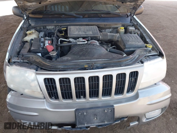 2000 Jeep Grand Cherokee Limited z VIN 1J4GW58N1YC206992, wystawiony jako IAAI lot #42057236 z przebiegiem 183 986 mil mil oraz . Historia ofert i sprzedaży dostępna na DreamBid. Obrazek 10.