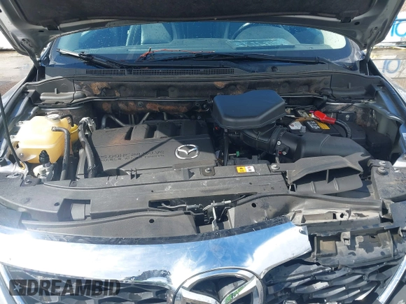 2010 Mazda CX-9 Touring with VIN JM3TB3MV8A0225855, listed as a IAAI auction lot 41826707 with 181,921 mi miles and . Bid and sale history available at carsss.com. Image 10.