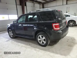 2011 Ford Escape Limited with VIN 1FMCU9EG7BKA53387, listed as a Copart auction lot 46256845 with 176,442 mi miles and Salvage Title. Bid and sale history available at DreamBid. Image 2.
