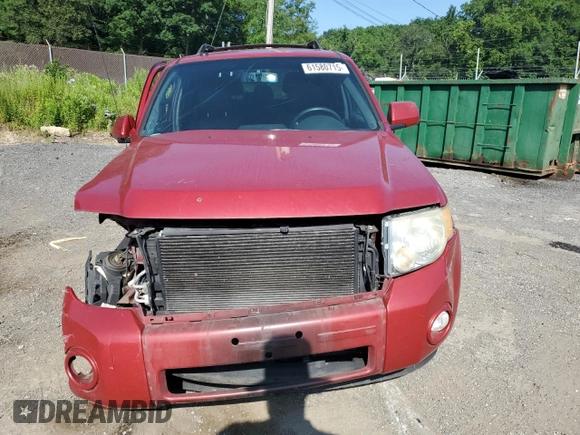 2010 Ford Escape Limited with VIN 1FMCU9EG0AKA79585, listed as a Copart auction lot 61580715 with Not provided miles and Salvage title. Bid and sale history available at DreamBid. Image 5.