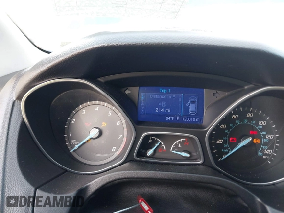 2013 Ford Focus SE with VIN 1FADP3F25DL198429, listed as a IAAI auction lot 41136019 with 123,810 mi miles. Bid and sale history available at carsss.com. Image 7.