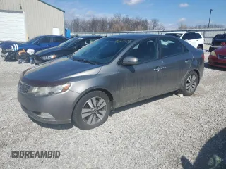 2013 Kia Forte EX with VIN KNAFU4A25D5672809, listed as a Copart auction lot 46978785 with 175,173 mi miles and Salvage Title. Bid and sale history available at carsss.com. Image 1.
