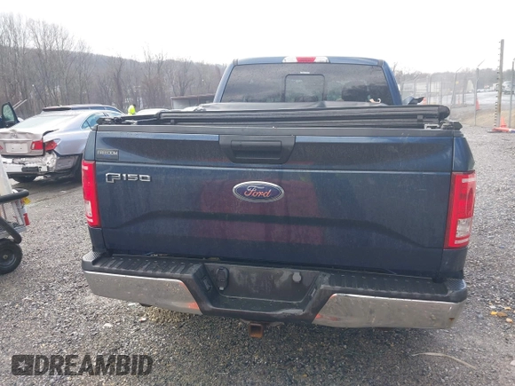 2015 Ford F-150 XLT with VIN 1FTEX1EP1FFC74925, listed as a IAAI auction lot 41503347 with 116,561 mi miles and . Bid and sale history available at DreamBid. Image 16.