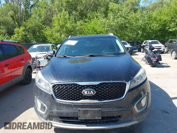 2016 Kia Sorento EX with VIN 5XYPHDA5XGG176132, listed as a IAAI auction lot 42661390 with 263,481 mi miles and . Bid and sale history available at DreamBid. Image 6.