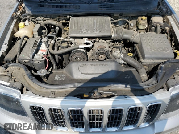 2001 Jeep Grand Cherokee Limited with VIN 1J4GW58N11C721108, listed as a Copart auction lot 60176915 with 257,907 mi miles and Salvage title. Bid and sale history available at DreamBid. Image 12.