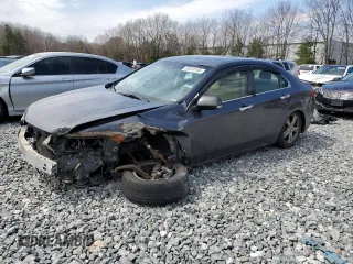 2013 Acura TSX Technology with VIN JH4CU2F66DC002007, listed as a Copart auction lot 53318155 with Not provided miles and Clean title. Bid and sale history available at DreamBid. Image 1.