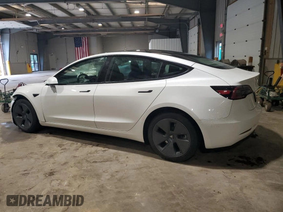 2023 Tesla Model 3 with VIN 5YJ3E1EA6PF588701, listed as a Copart auction lot 61446355 with Not provided miles and Salvage title. Bid and sale history available at DreamBid. Image 2.
