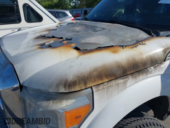 2013 Ford F-250 XL with VIN 1FT7W2BT3DEA33342, listed as a IAAI auction lot 42363597 with Not provided miles and . Bid and sale history available at DreamBid. Image 6.