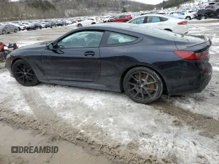 2023 BMW 8 Series 840i with VIN WBAAE4C03PCM06630, listed as a Copart auction lot 46220785 with 0 mi miles and Salvage Title. Bid and sale history available at carsss.com. Image 2.
