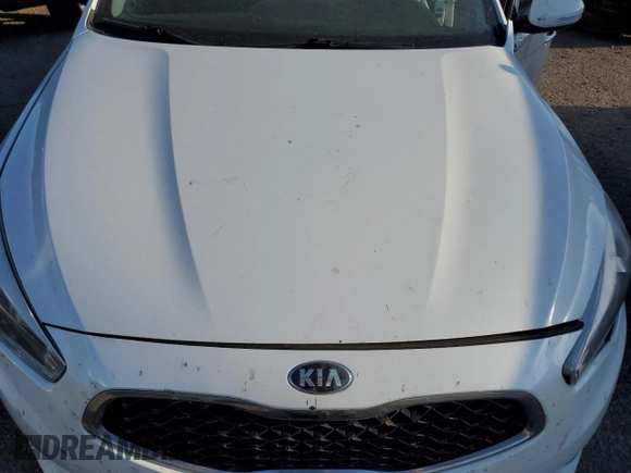 2015 Kia Cadenza Premium with VIN KNALN4D74F5172280, listed as a Copart auction lot 69117414 with 0 mi miles and Salvage Title. Bid and sale history available at carsss.com. Image 11.