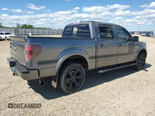 2012 Ford F-150 XL z VIN 1FTFW1EF6CFA78392, wystawiony jako Copart lot #63007355 z przebiegiem 227 530 mil mil oraz Szkoda całkowita • Salvage title. Historia ofert i sprzedaży dostępna na DreamBid. Obrazek 3.