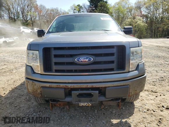 2010 Ford F-150 XL with VIN 1FTEX1EW6AFA56656, listed as a Copart auction lot 54382045 with 144,342 mi miles and Clean Title. Bid and sale history available at carsss.com. Image 5.