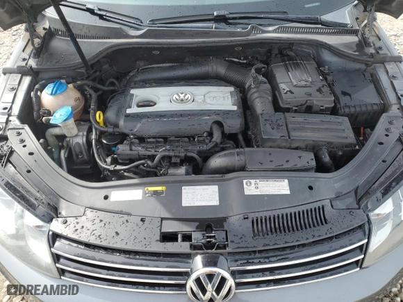 2014 Volkswagen Eos Lux with VIN WVWFW8AH1EV000403, listed as a Copart auction lot 50272205 with 135,441 mi miles and Salvage Title. Bid and sale history available at carsss.com. Image 11.