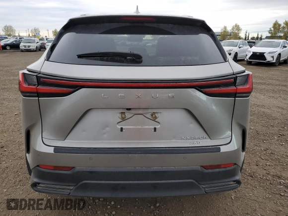 2022 Lexus NX with VIN 2T2GKCEZ0NC008934, listed as a Copart auction lot 73789294 with 50,370 mi miles and Clean Title. Bid and sale history available at carsss.com. Image 6.
