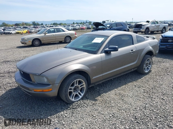 2005 Ford Mustang Deluxe с VIN 1ZVFT80NX55110332, выставлен на аукционе IAAI как лот 42087975 с пробегом 181 810 миль миль и . История ставок и продаж доступна на DreamBid. Изображение 2.