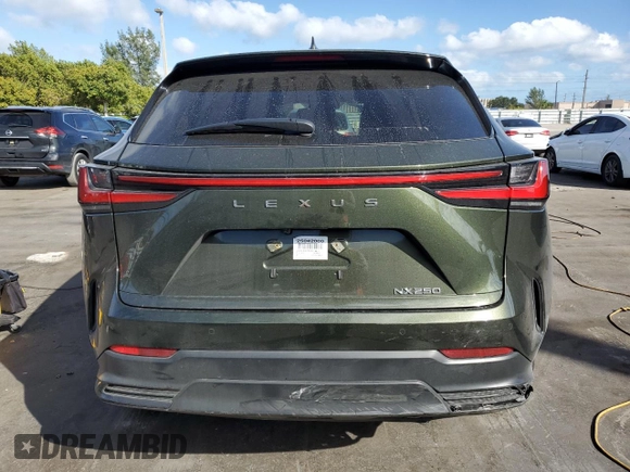 2025 Lexus NX with VIN 2T2GDCAZXSC019614, listed as a Copart auction lot 43544655 with 10,197 mi miles and Salvage Title. Bid and sale history available at carsss.com. Image 6.