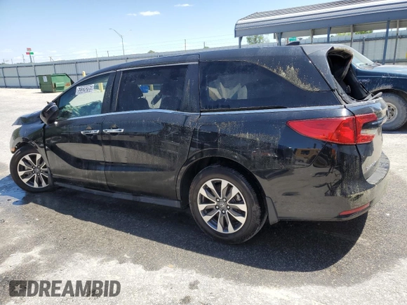 2022 Honda Odyssey EX-L with VIN 5FNRL6H75NB003651, listed as a Copart auction lot 53328205 with Not Provided miles and Non Repairable. Bid and sale history available at DreamBid. Image 2.