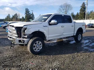2016 Ford F-150 XLT with VIN 1FTEW1EF4GFC75515, listed as a Copart auction lot 47635175 with 133,577 mi miles and Salvage Title. Bid and sale history available at carsss.com. Image 1.
