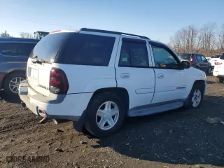 2002 Chevrolet TrailBlazer LS with VIN 1GNDT13S922137772, listed as a Copart auction lot 86365434 with 169,234 mi miles and Clean Title. Bid and sale history available at carsss.com. Image 3.
