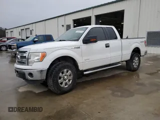 2013 Ford F-150 XL with VIN 1FTFX1ET9DFA03464, listed as a Copart auction lot 48039815 with 256,940 mi miles and Salvage Title. Bid and sale history available at carsss.com. Image 1.