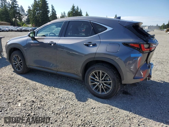 2024 Lexus NX 350 with VIN JTJAGCEZ7R2015151, listed as a Copart auction lot 59238605 with 10,307 mi miles and Salvage title. Bid and sale history available at DreamBid. Image 2.