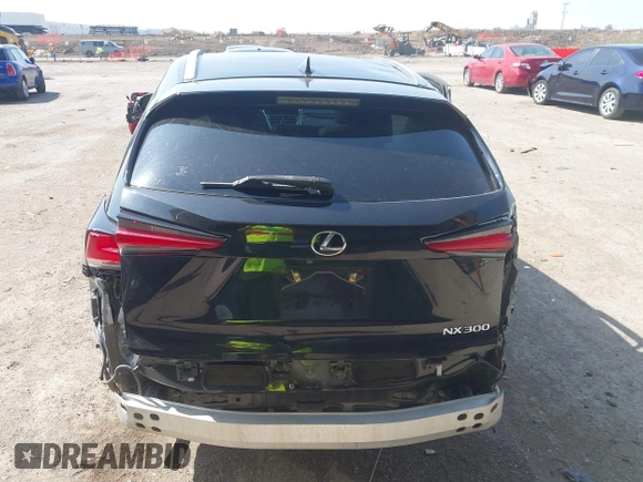 2019 Lexus NX 300 z VIN JTJYARBZ7K2157187, wystawiony jako IAAI lot #41914138 z przebiegiem 81 265 mil mil oraz . Historia ofert i sprzedaży dostępna na DreamBid. Obrazek 16.
