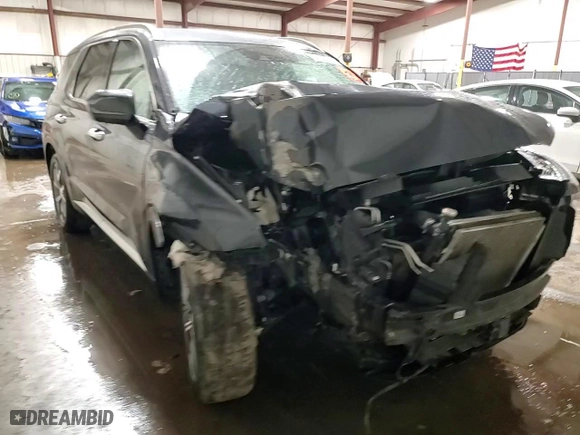 2020 Hyundai Palisade SEL with VIN KM8R3DHE5LU150331, listed as a Copart auction lot 42238695 with 51,415 mi miles and Salvage Title. Bid and sale history available at carsss.com. Image 14.