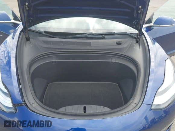 2018 Tesla Model 3 Long Range Battery z VIN 5YJ3E1EA6JF160859, wystawiony jako IAAI lot #42149636 z przebiegiem 81 159 mil mil oraz . Historia ofert i sprzedaży dostępna na DreamBid. Obrazek 10.