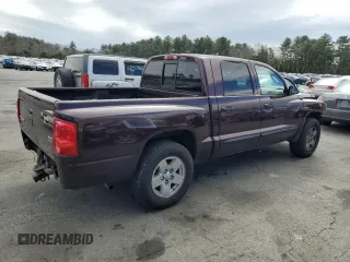 2005 Dodge Dakota SLT with VIN 1D7HW48N95S167516, listed as a Copart auction lot 49378105 with Not Provided miles and Salvage Title. Bid and sale history available at DreamBid. Image 3.