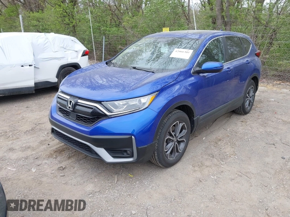 2022 Honda CR-V EX z VIN 7FARW2H55NE018038, wystawiony jako IAAI lot #42066301 z przebiegiem 33 197 mil mil oraz . Historia ofert i sprzedaży dostępna na DreamBid. Obrazek 2.
