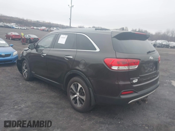 2016 Kia Sorento EX with VIN 5XYPHDA57GG007122, listed as a IAAI auction lot 41866081 with 79,534 mi miles. Bid and sale history available at carsss.com. Image 3.