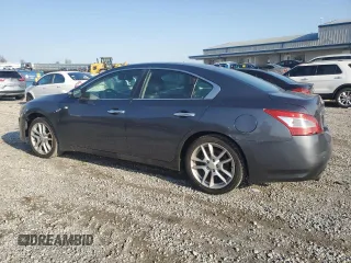 2010 Nissan Maxima 3.5 SV with VIN 1N4AA5AP2AC825604, listed as a Copart auction lot 52800575 with 220,373 mi miles and Salvage Title. Bid and sale history available at carsss.com. Image 2.