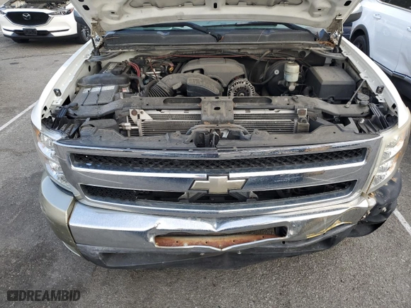 2007 Chevrolet Silverado 1500 LS with VIN 2GCEC13C771730673, listed as a Copart auction lot 86037784 with 166,619 mi miles and Salvage Title. Bid and sale history available at carsss.com. Image 11.
