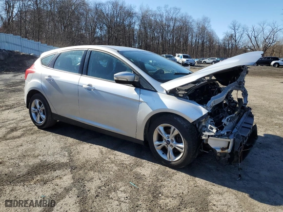 2013 Ford Focus SE with VIN 1FADP3K24DL287530, listed as a Copart auction lot 49607615 with 0 mi miles and Salvage Title. Bid and sale history available at carsss.com. Image 4.