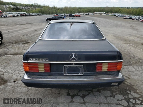 1989 Mercedes-Benz 560 with VIN WDBCA45E0KA494541, listed as a Copart auction lot 55360435 with 259,622 mi miles and Clean Title. Bid and sale history available at DreamBid. Image 6.
