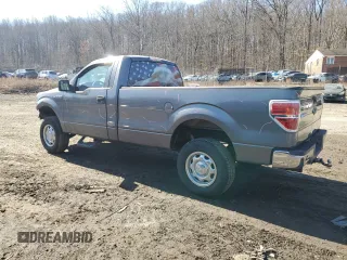 2011 Ford F-150 XL with VIN 1FTMF1CM2BKD08234, listed as a Copart auction lot 48413095 with 144,204 mi miles and Salvage Title. Bid and sale history available at DreamBid. Image 2.