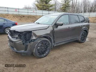 2021 Kia Telluride SX with VIN 5XYP5DHC7MG185623, listed as a Copart auction lot 49771345 with 101,167 mi miles and Clean Title. Bid and sale history available at carsss.com. Image 1.