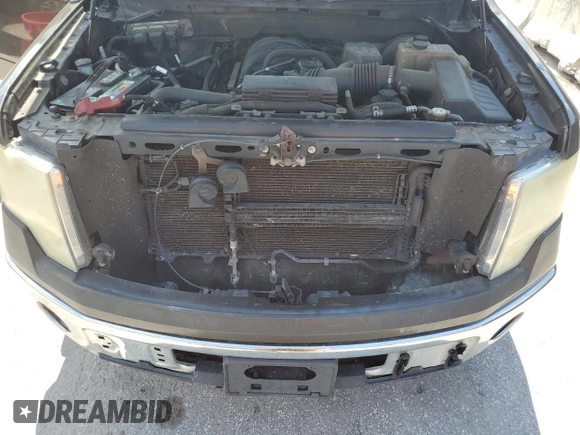 2009 Ford F-150 XL with VIN 1FTRW12889FB01747, listed as a Copart auction lot 62402315 with 332,253 mi miles and Clean title. Bid and sale history available at DreamBid. Image 11.